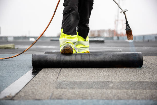 Best Asphalt Shingle Roofing  in Highlands, TX